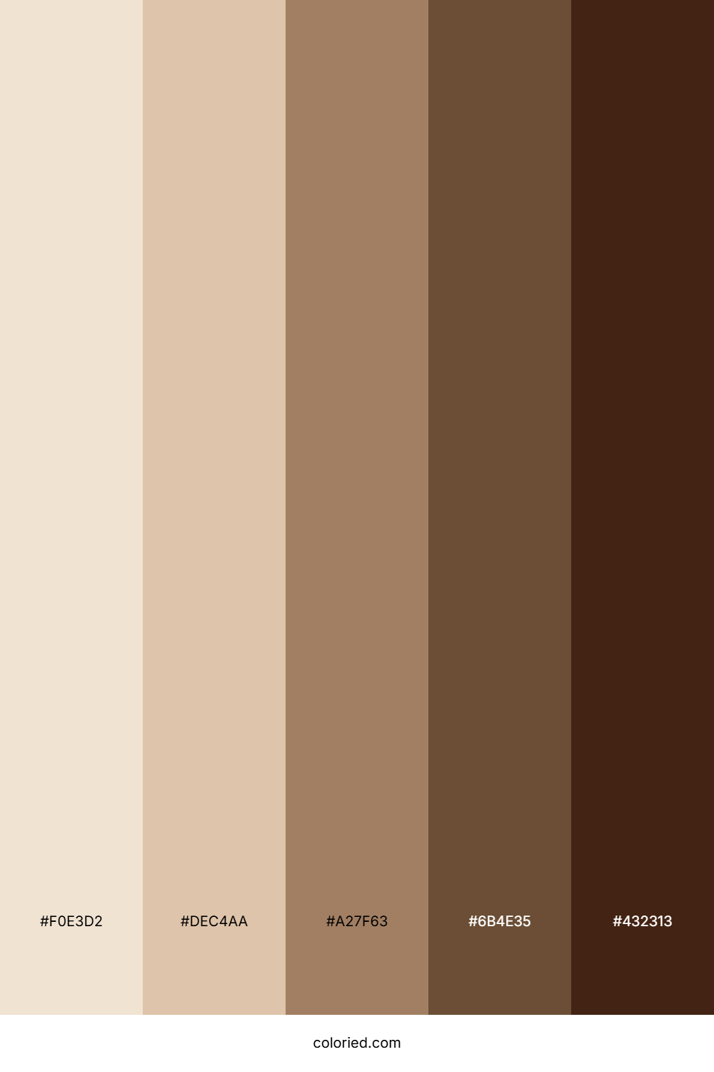 Cream and Coffee Brown Color Palette