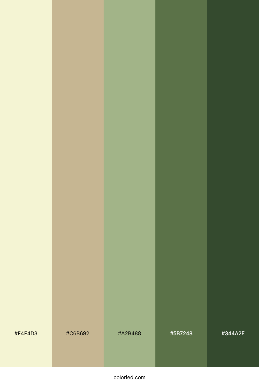 Cream and Olive Green Color Palette