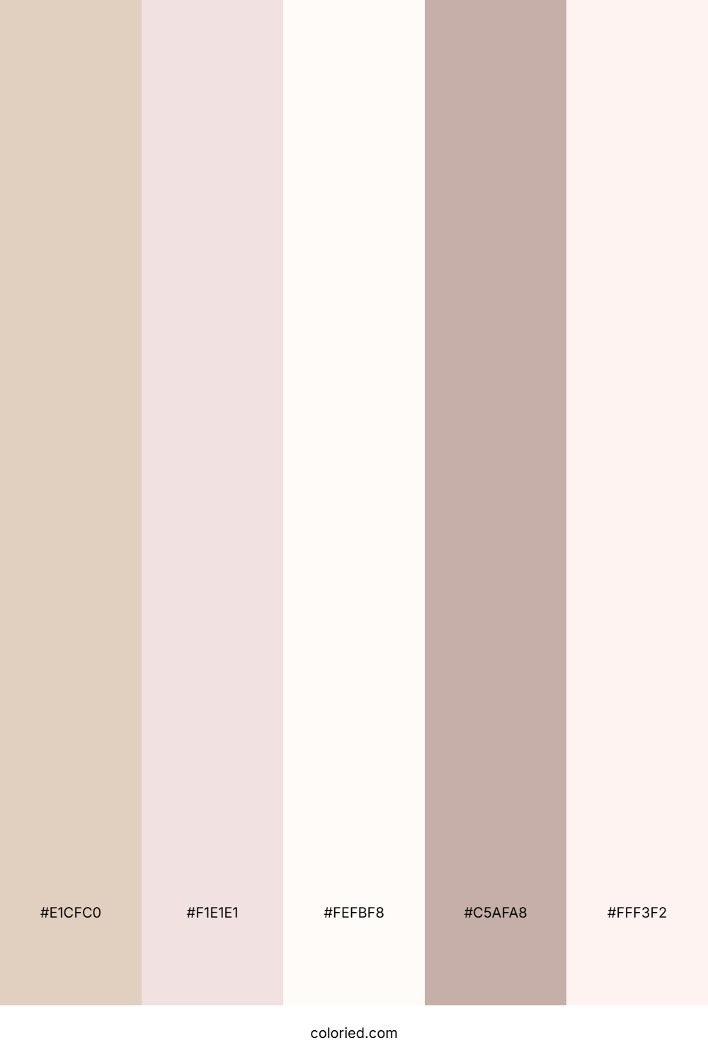 Cream and Rose Color Palette