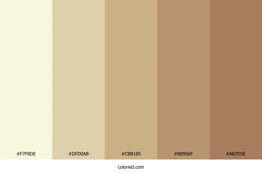 Cream and Sandstone Color Palette