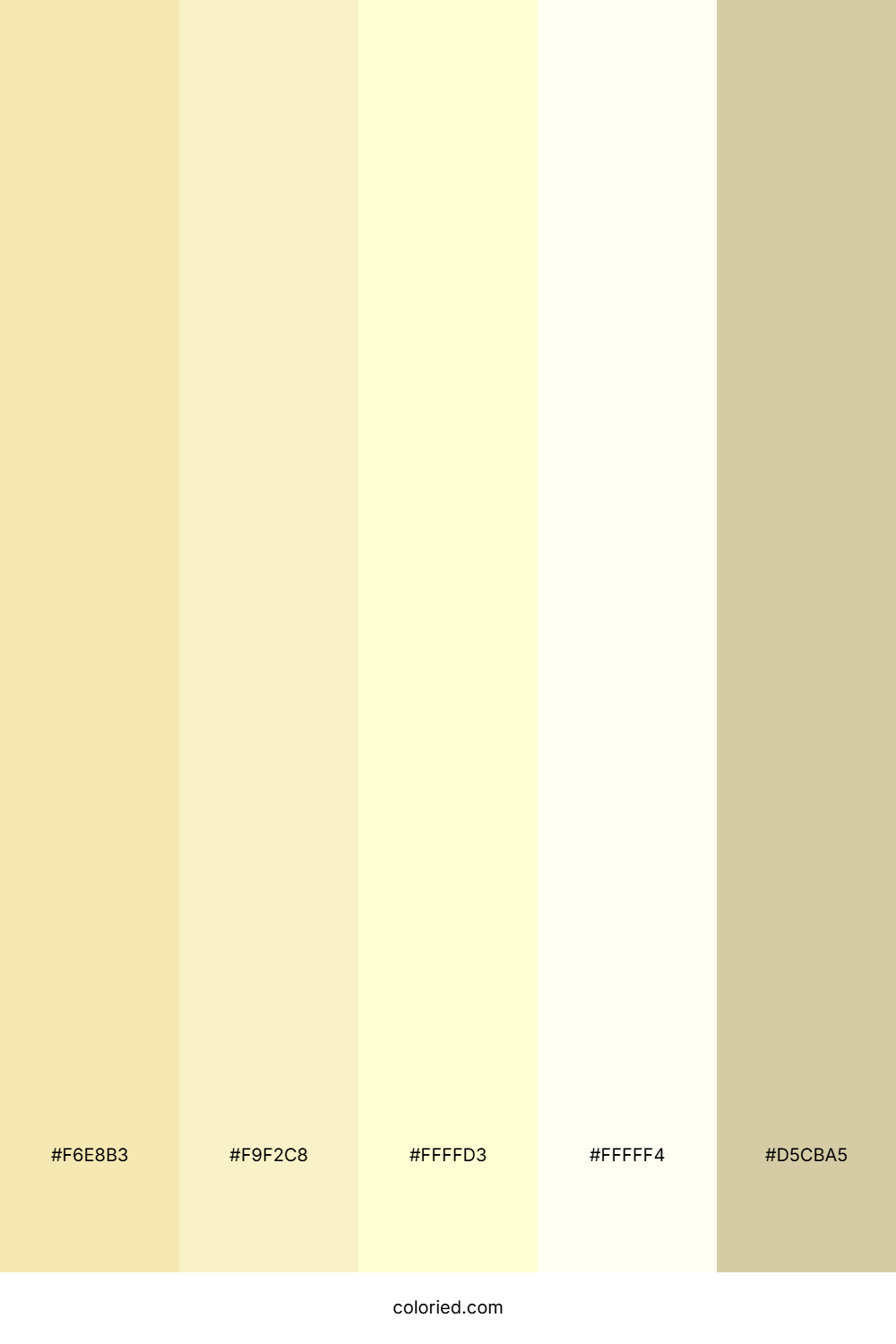 Cream and Soft Ivory Color Palette