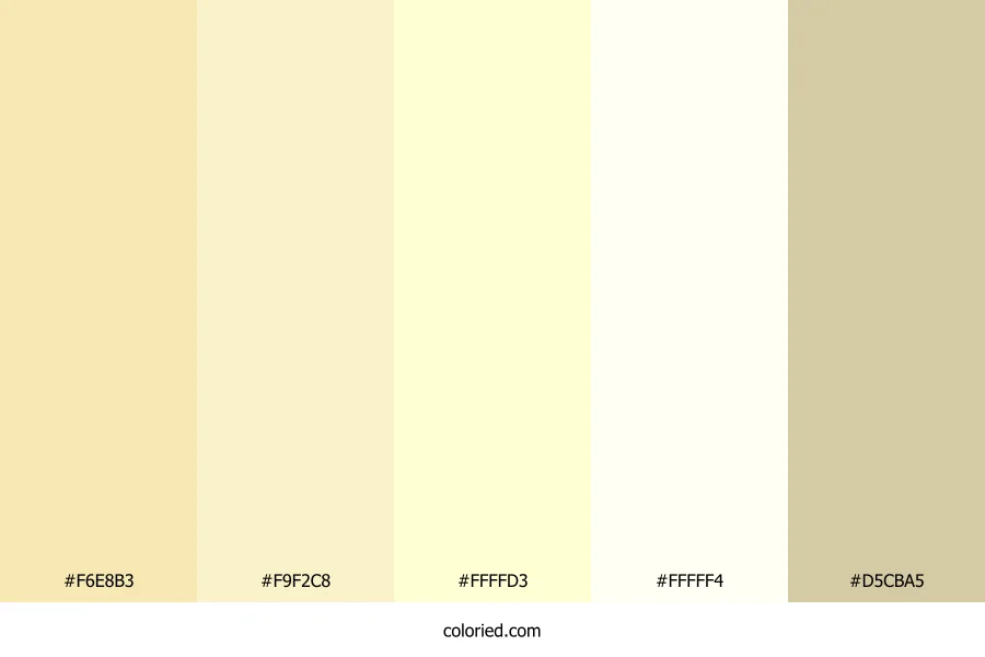 Cream and Soft Ivory Color Palette