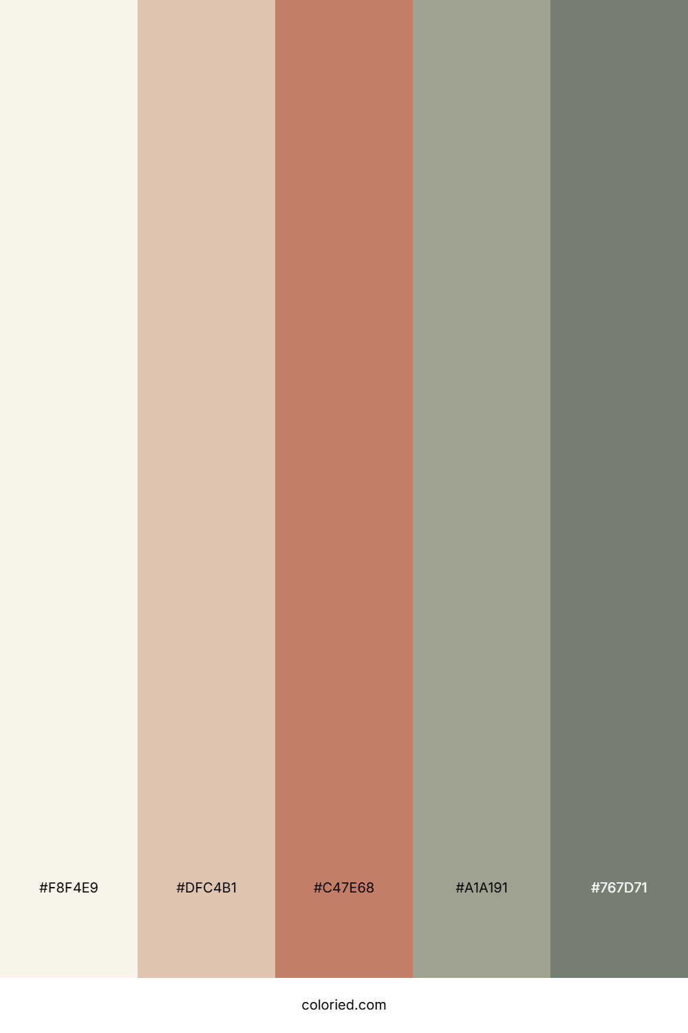 Cream and Terracotta Color Palette