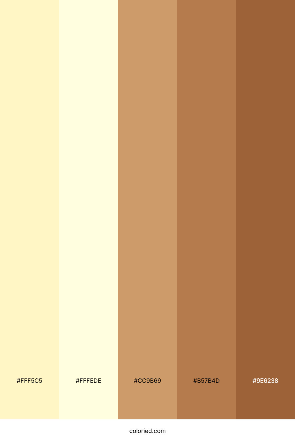 Cream and Warm Brown Color Palette