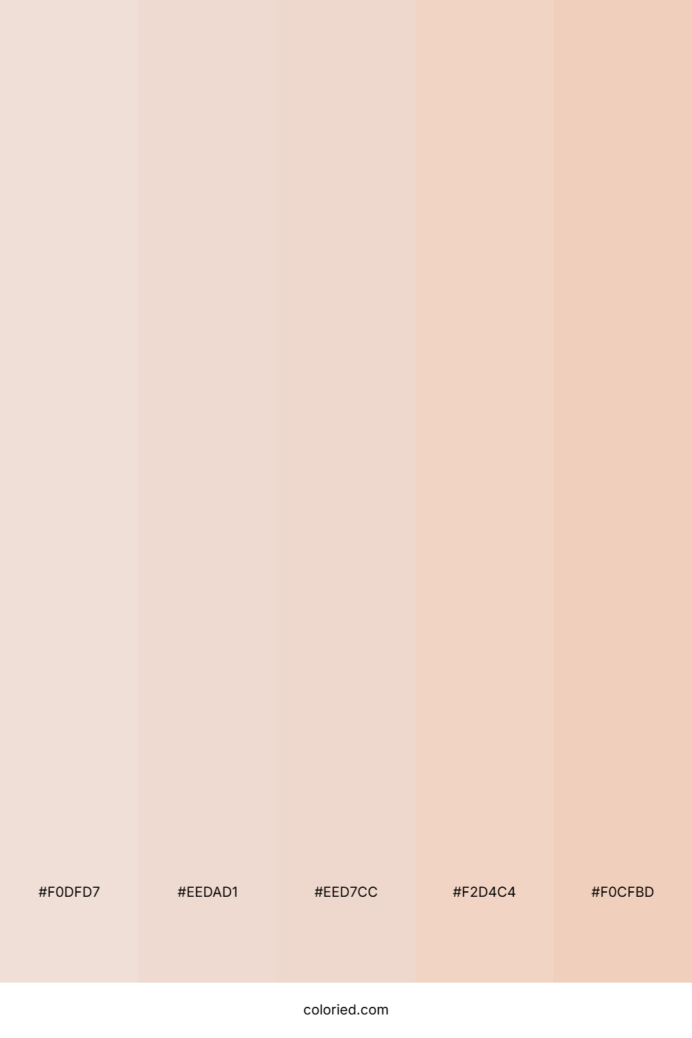 Creamy Latte Beige Color Palette