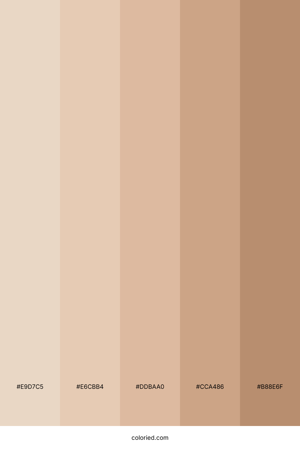Creamy Nudes Color Palette