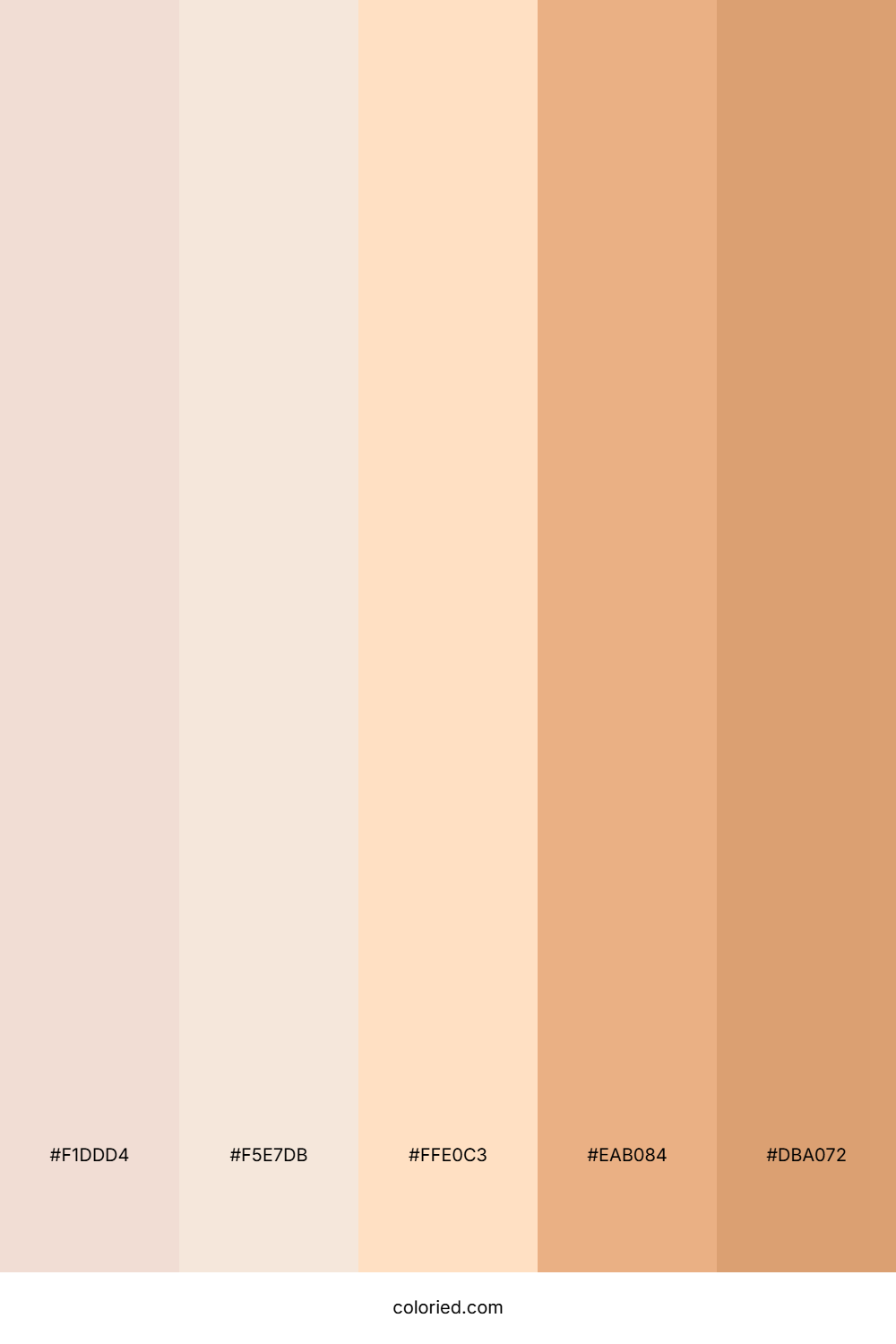 Creamy Peach Glow Color Palette