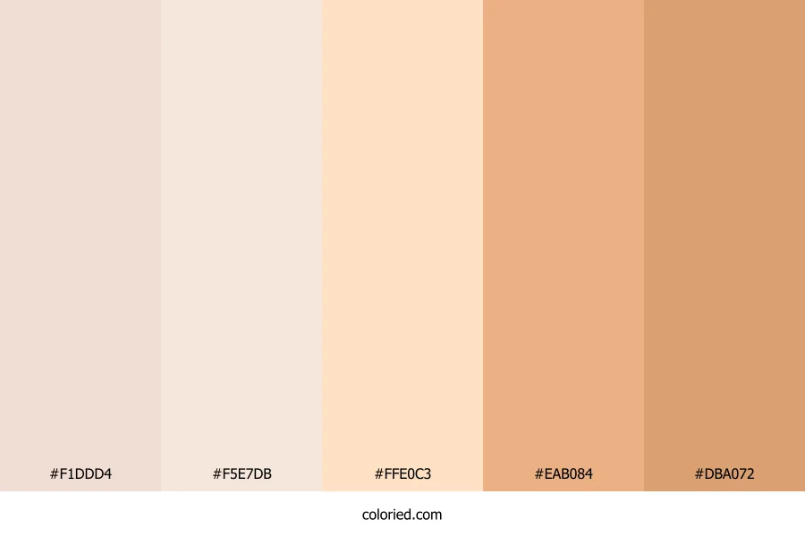 Creamy Peach Glow Color Palette