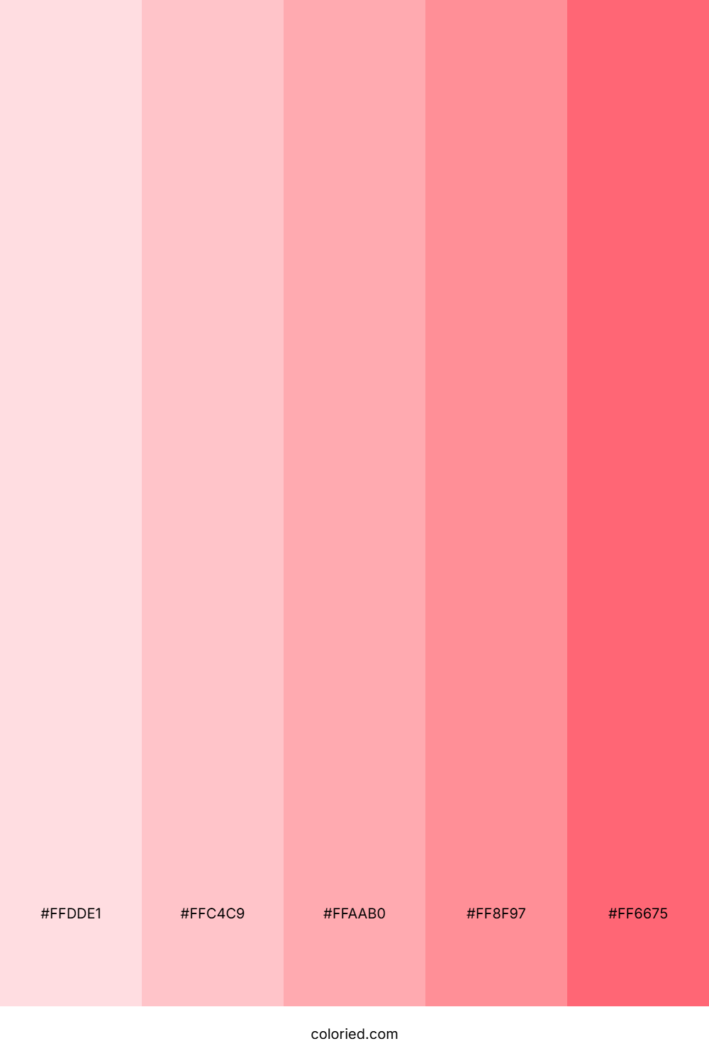 Creamy Pink Color Palette