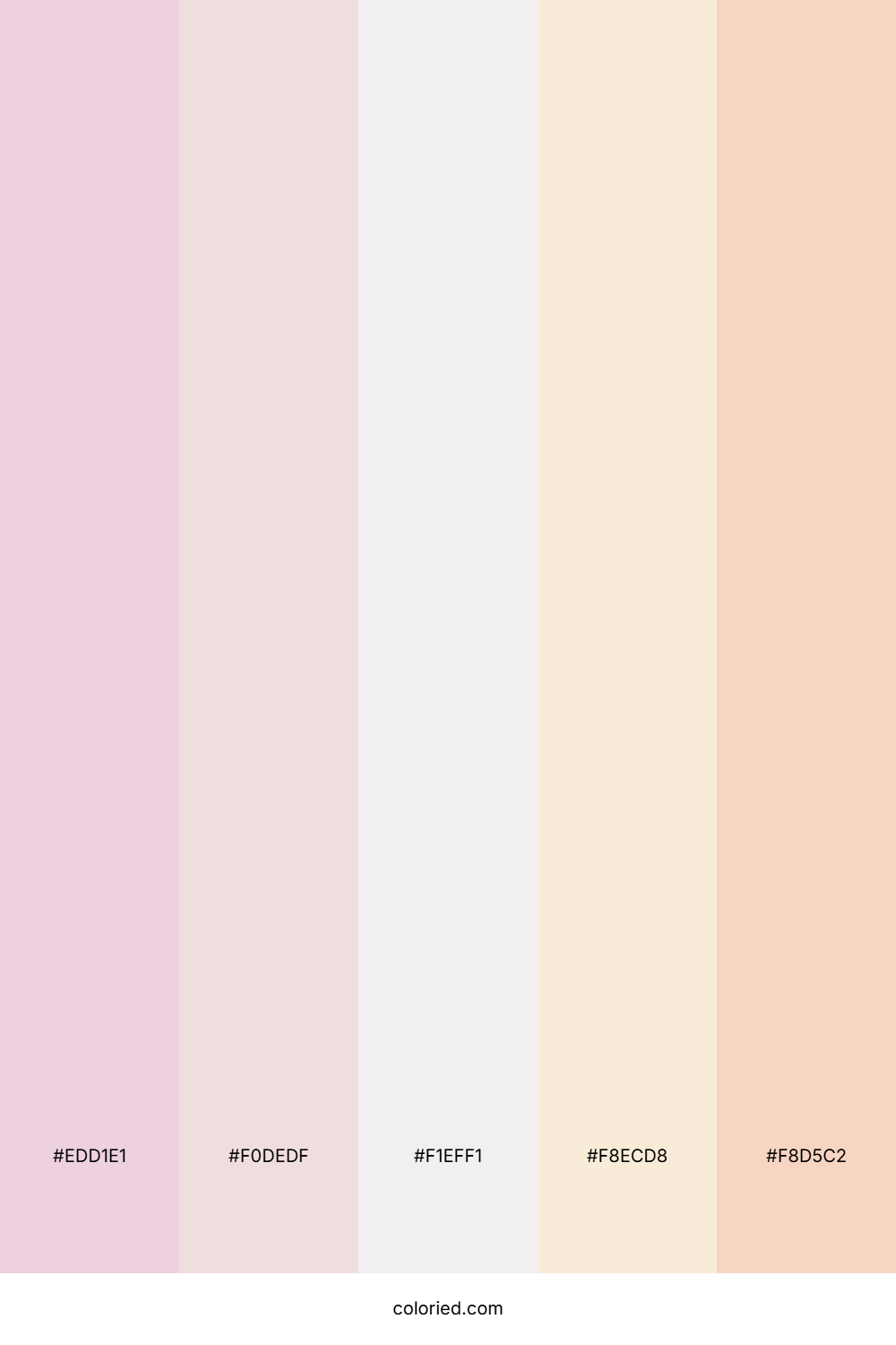 Creamy Vanilla Color Palette