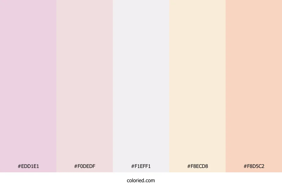 Creamy Vanilla Color Palette