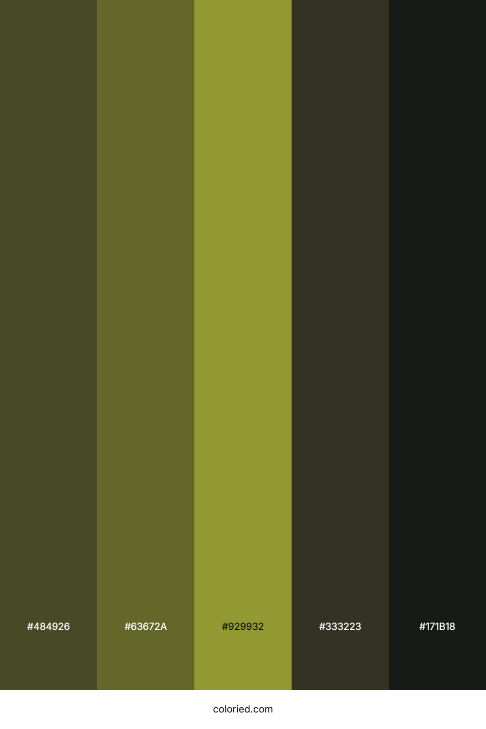Creepy Forest Moss Color Palette