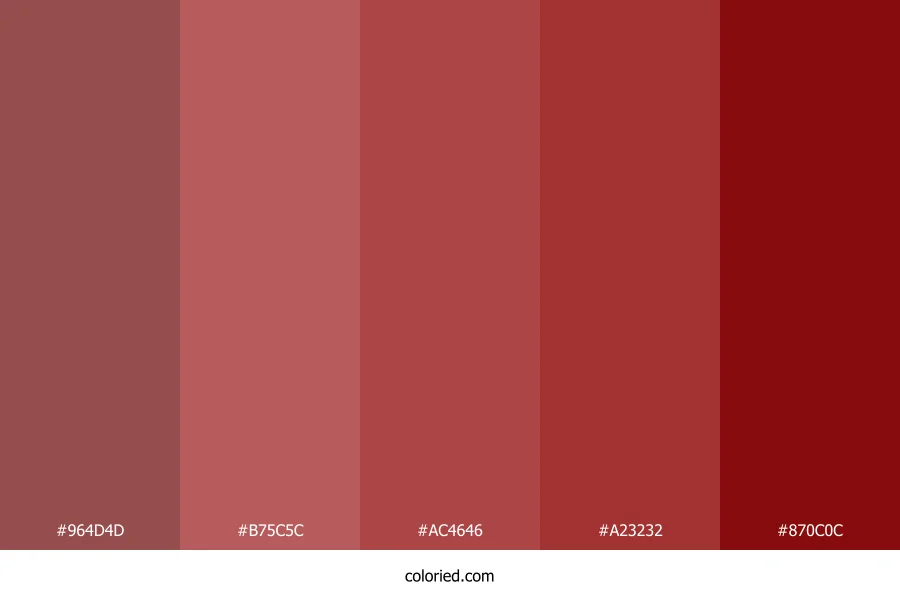 Crimson and Brick Red Color Palette