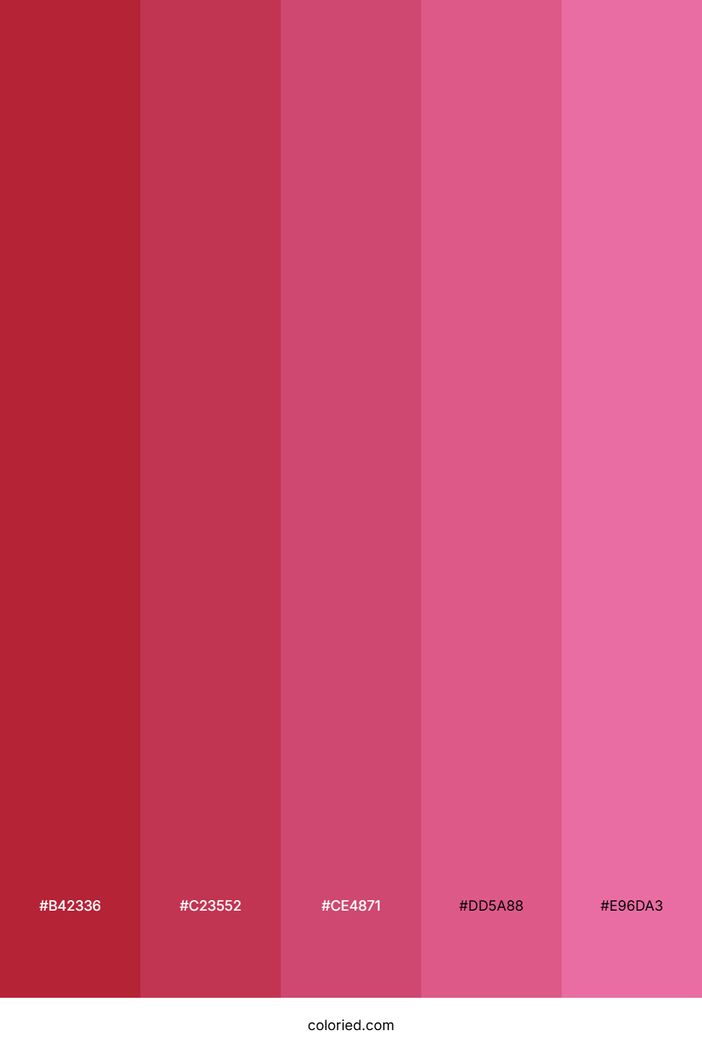 Crimson And Rose Color Palette