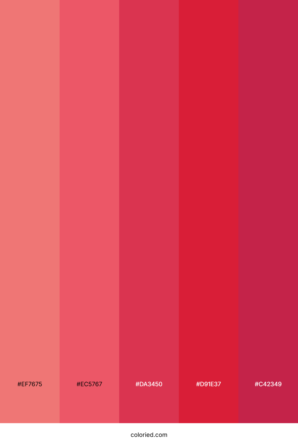 Crimson Berry Burst Palette