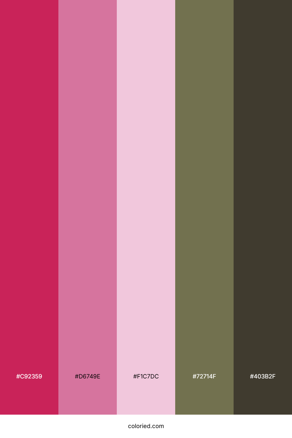 Crimson Blush Earth Color Palette