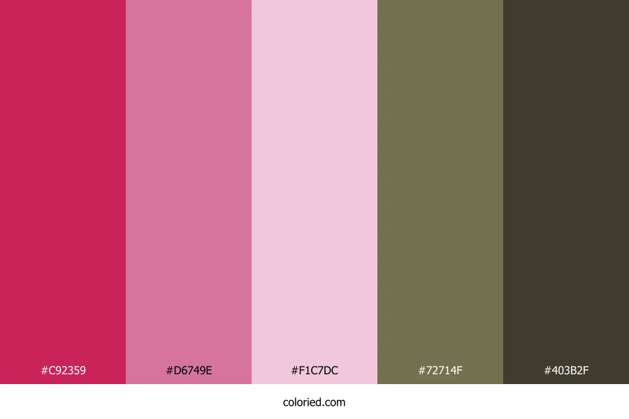 Crimson Blush Earth Color Palette