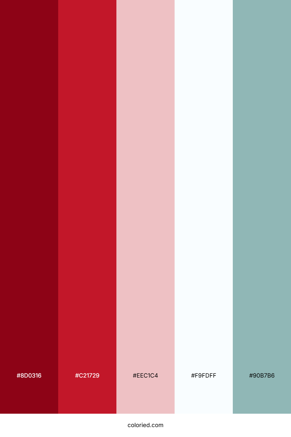 Crimson Cherry Surf Color Palette