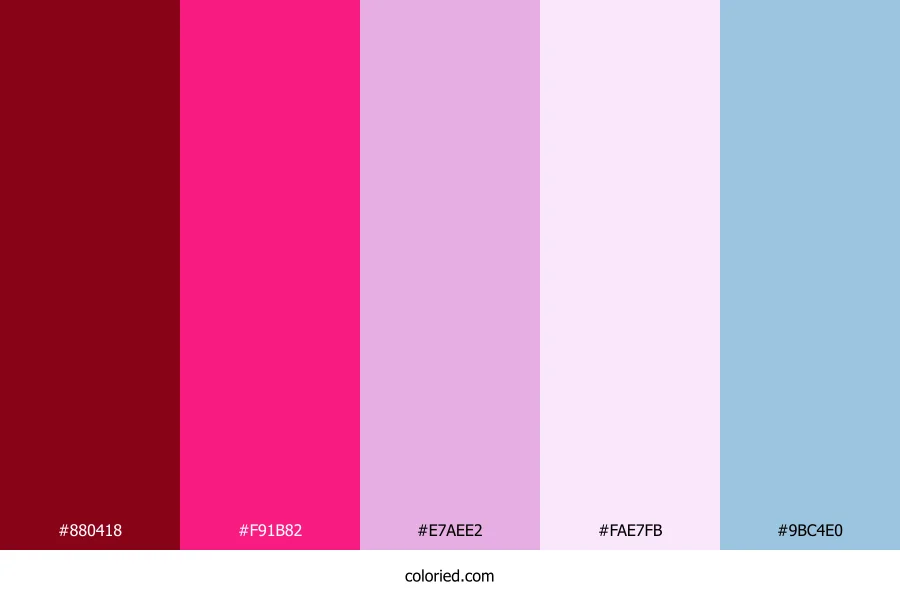 Crimson Fuchsia Mist Color Palette