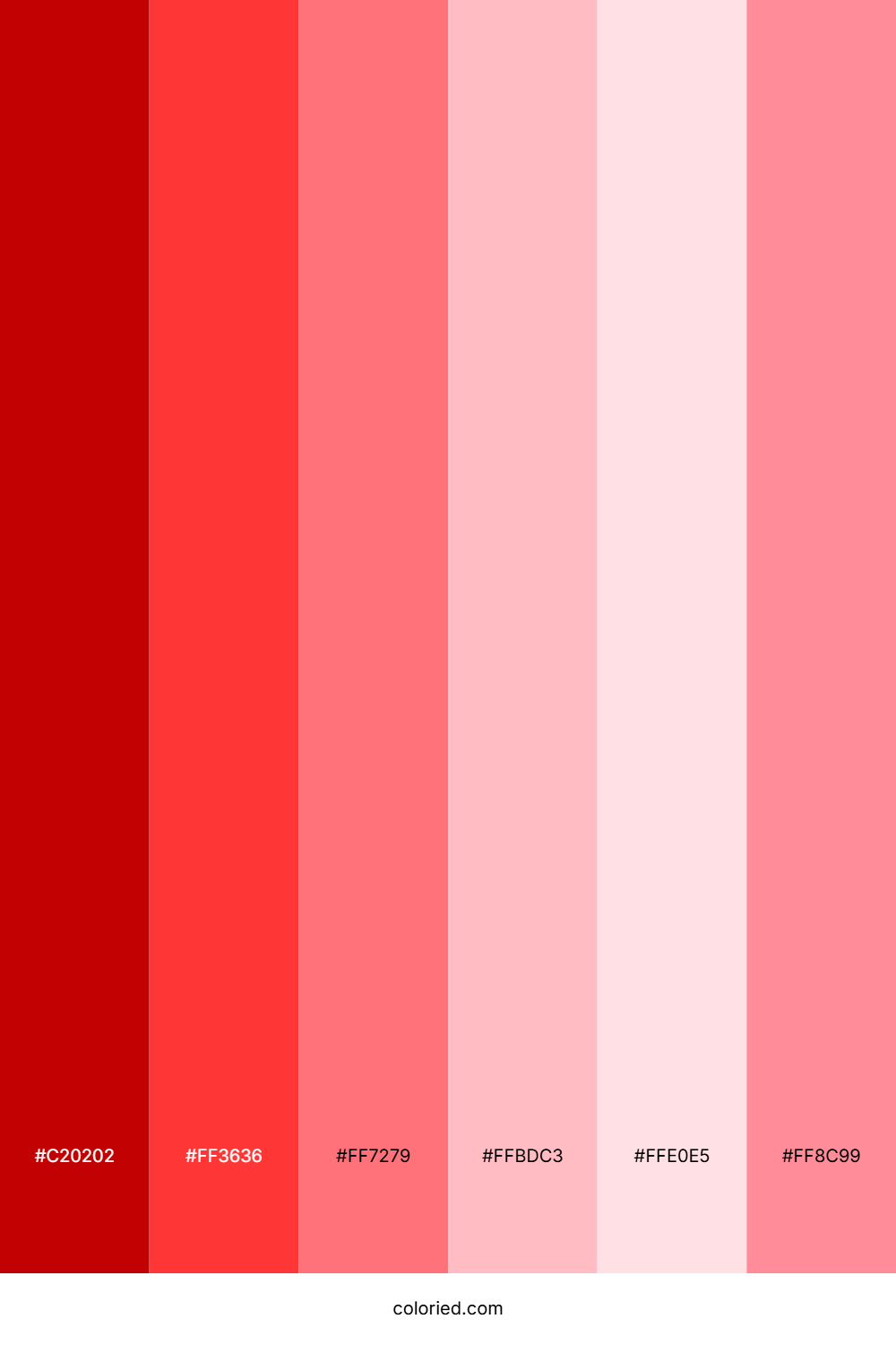 Crimson Red and Soft Pink Color Palette