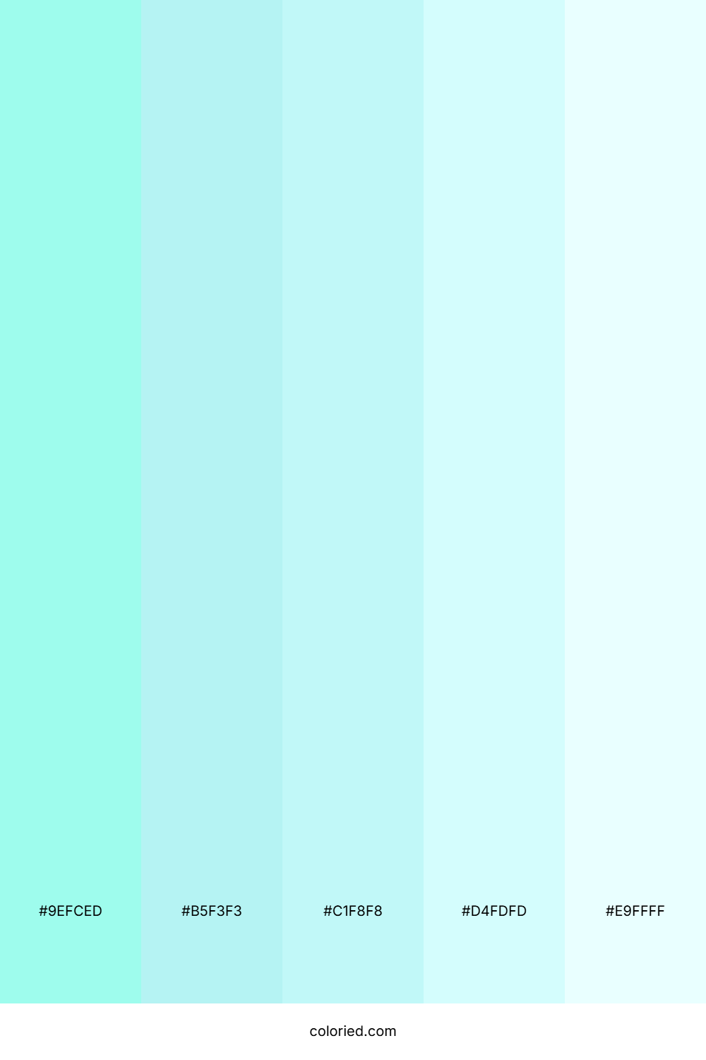 Crystal Aqua Mist Color Palette