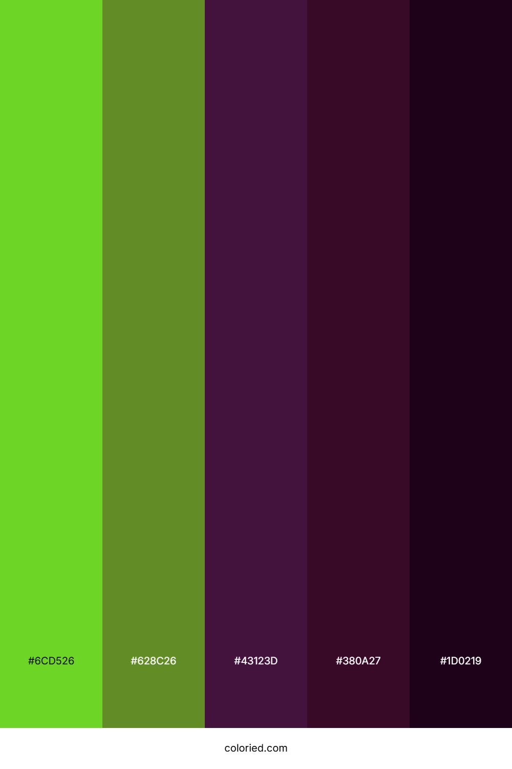 Cursed Forest Thicket Palette