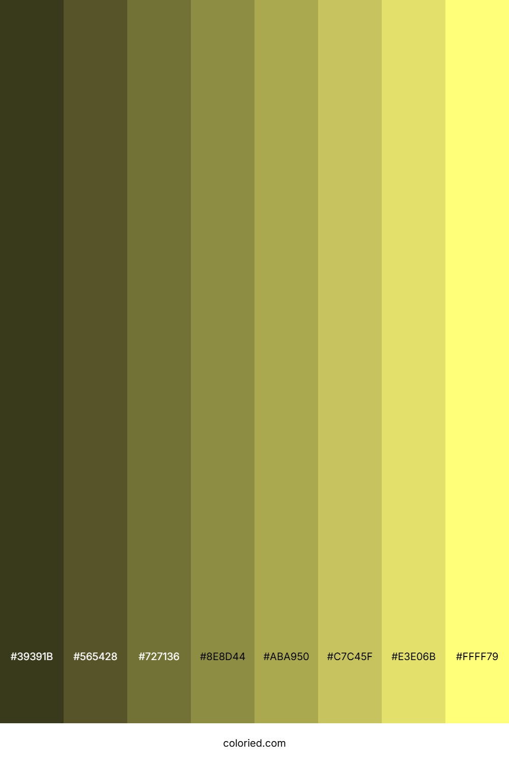 Custard Color Shades