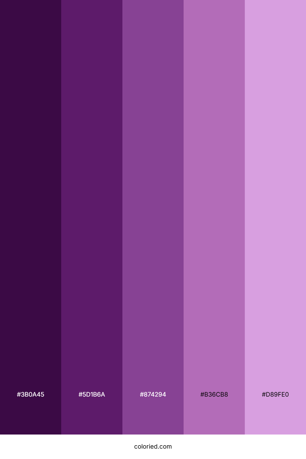 Dark Berry Color Palette
