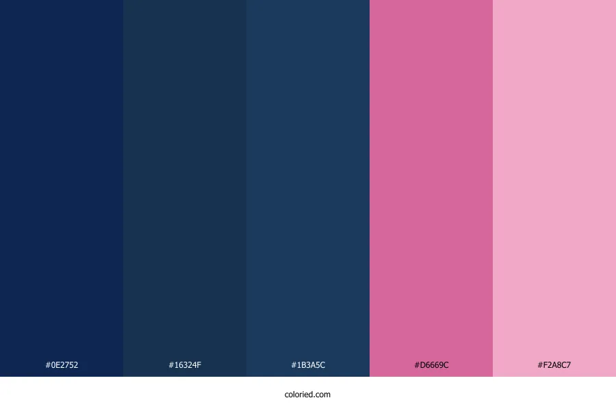 Dark Blue and Pink Color Palette