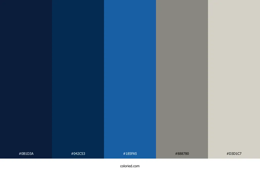 Dark Blue and Silver Color Palette