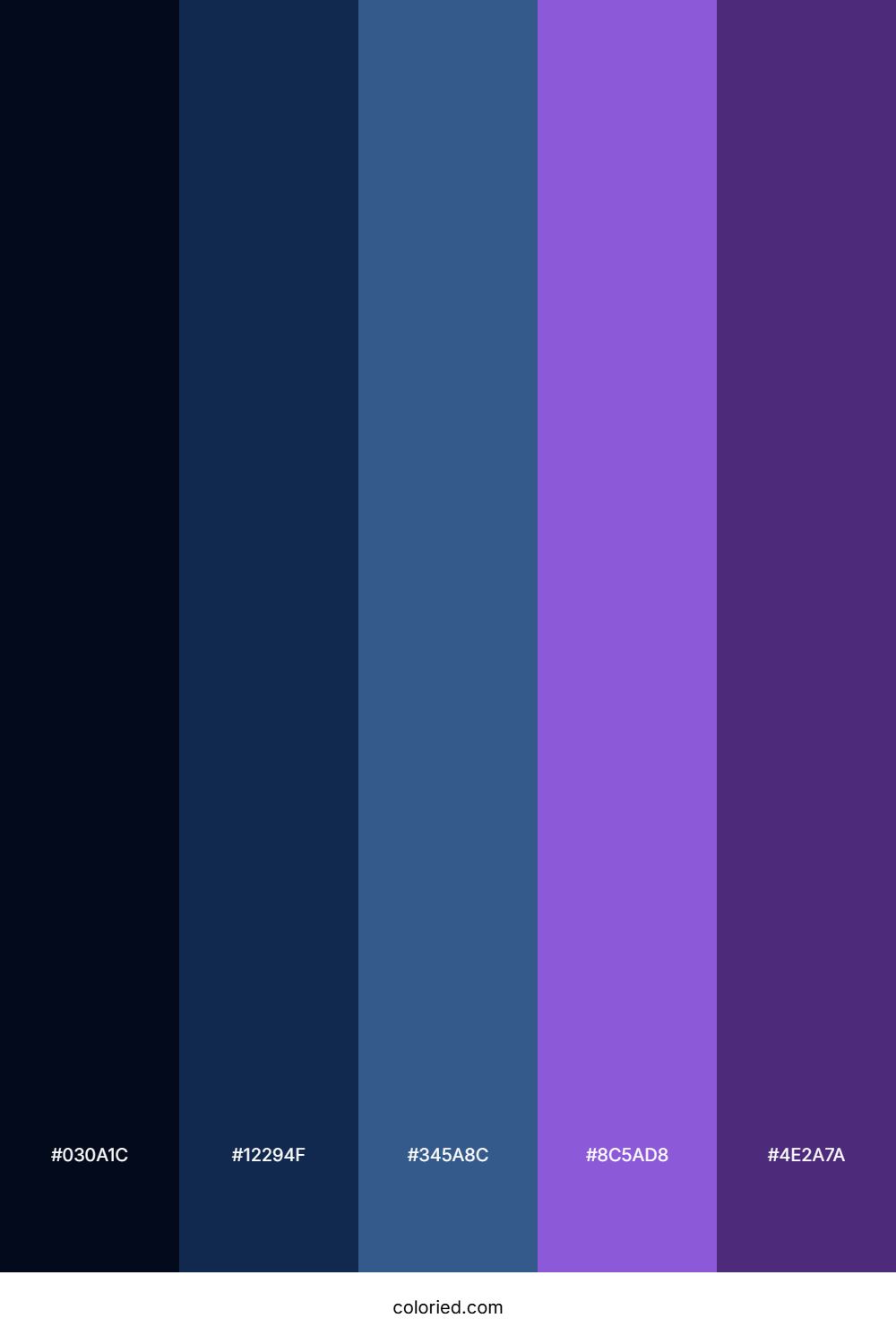 Dark Blue and Violet Color Palette
