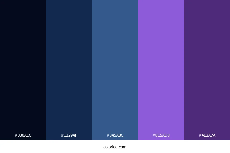Dark Blue and Violet Color Palette