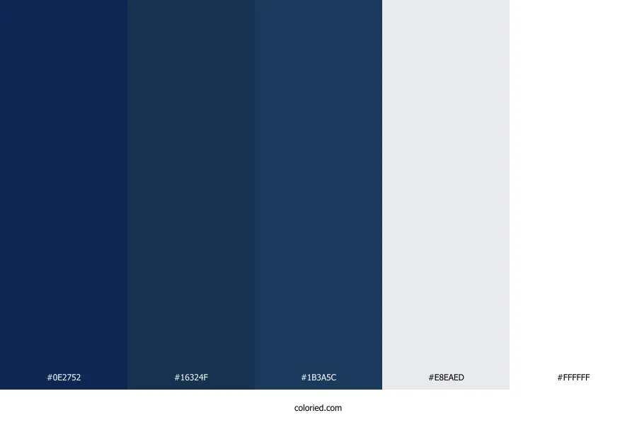 Dark Blue and White Color Palette