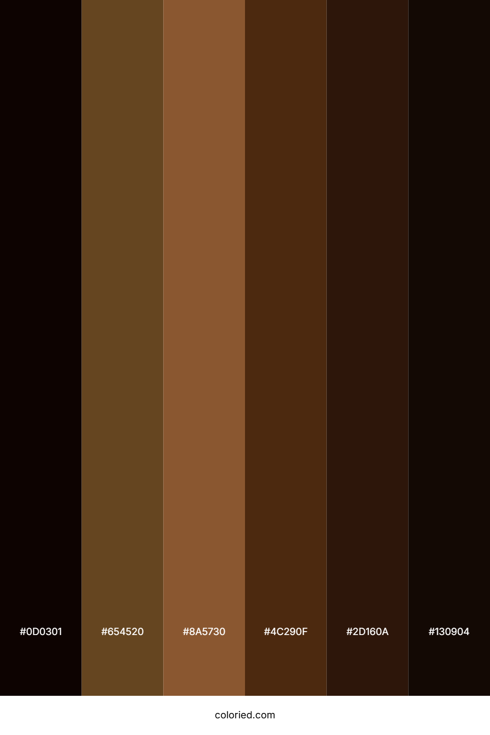 Dark Brown and Black Color Palette