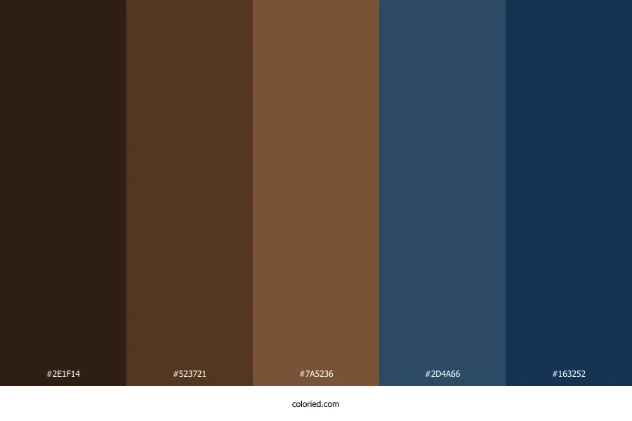 Dark Brown and Blue Color Palette