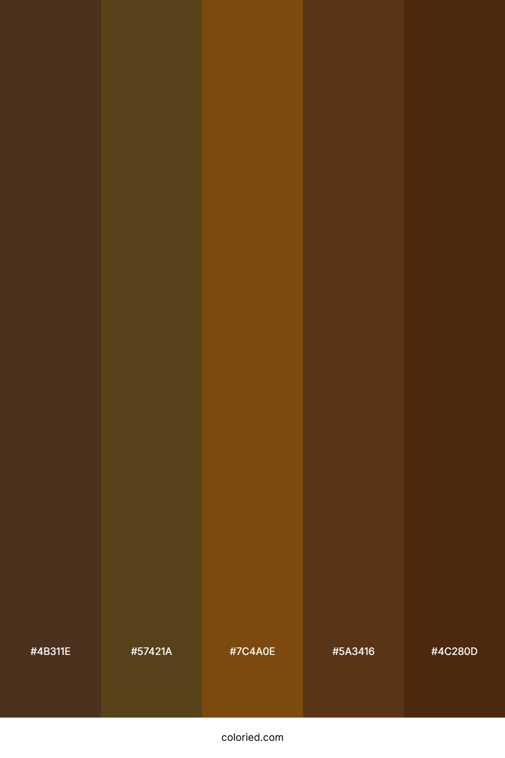 Dark Brown And Burnt Orange Color Palette