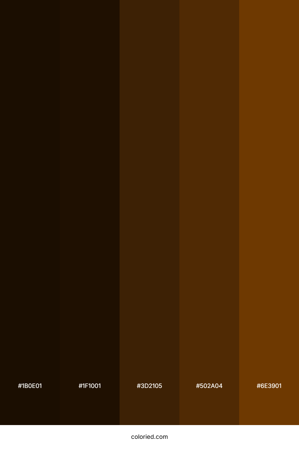 Dark Brown and Chestnut Color Palette