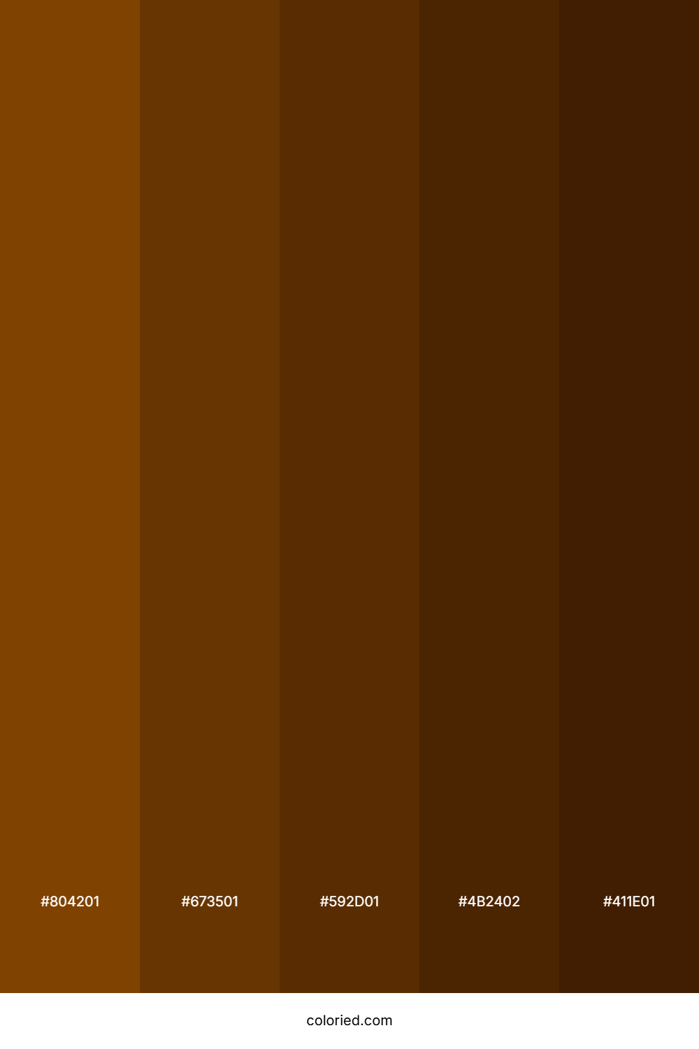 Dark Brown and Chocolate Color Palette