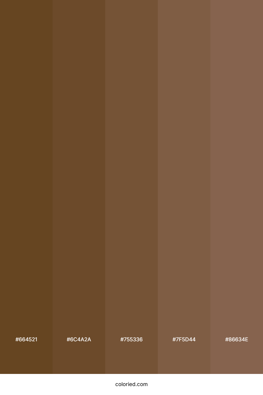 Dark Brown and Cocoa Color Palette