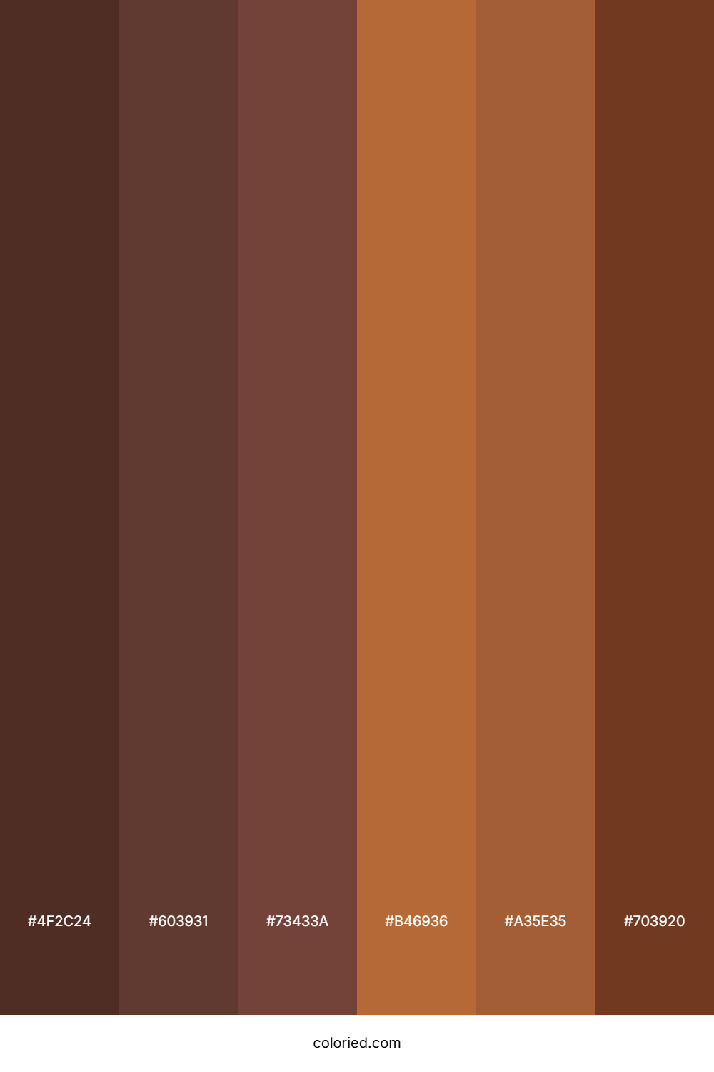 Dark Brown and Golden Brown Color Palette