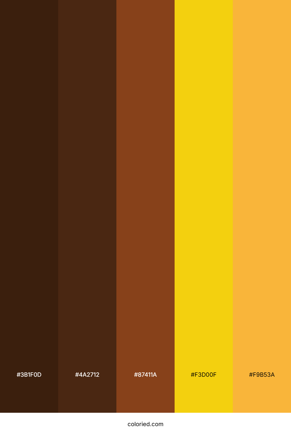 Dark Brown and Golden Yellow Color Palette