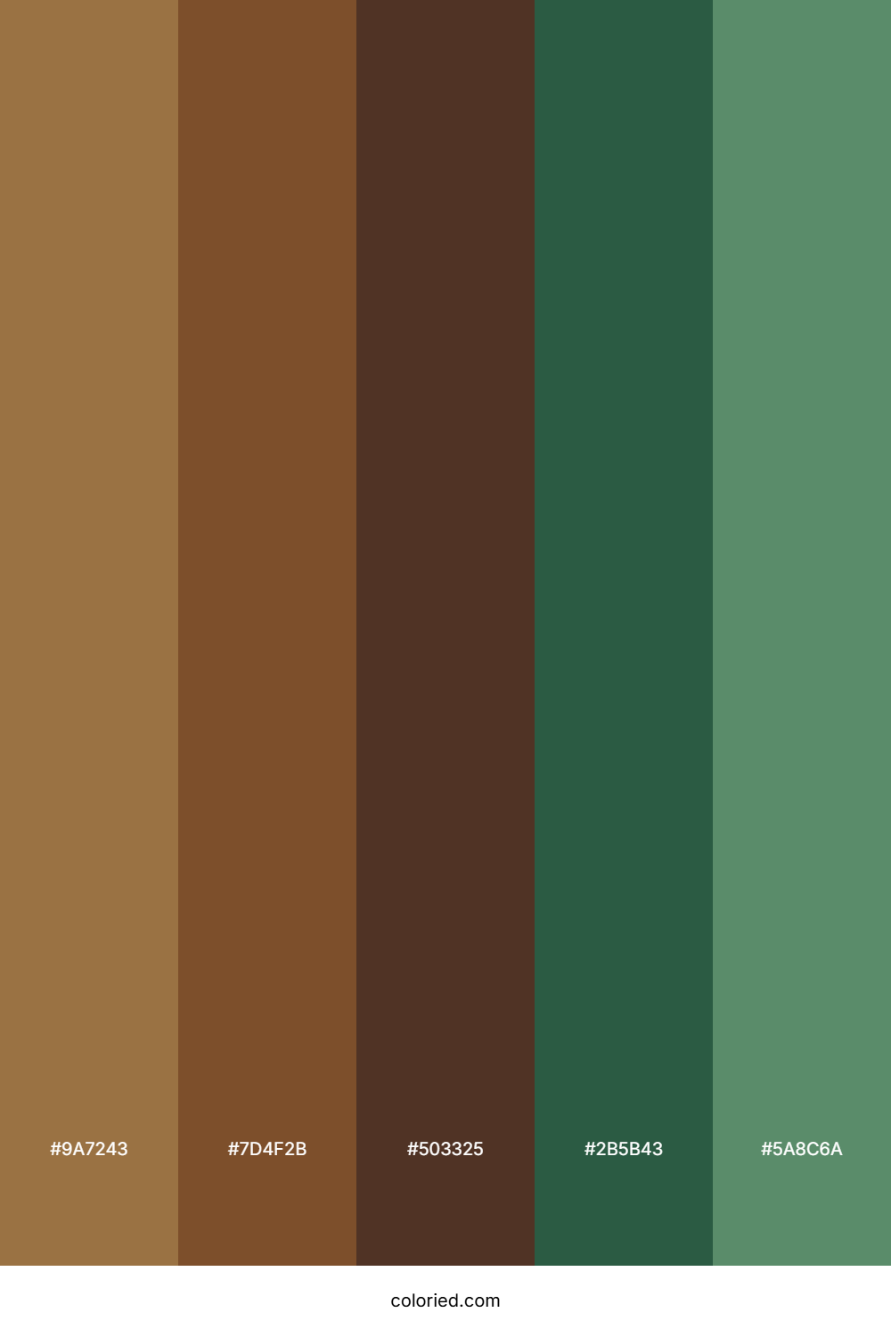 Dark Brown and Olive Green Color Palette