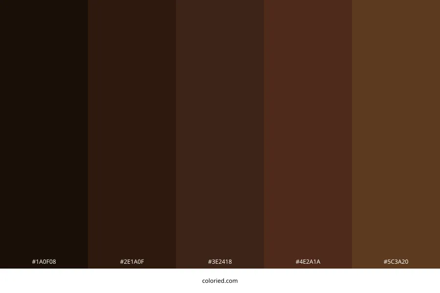 Dark Brown Color Palette