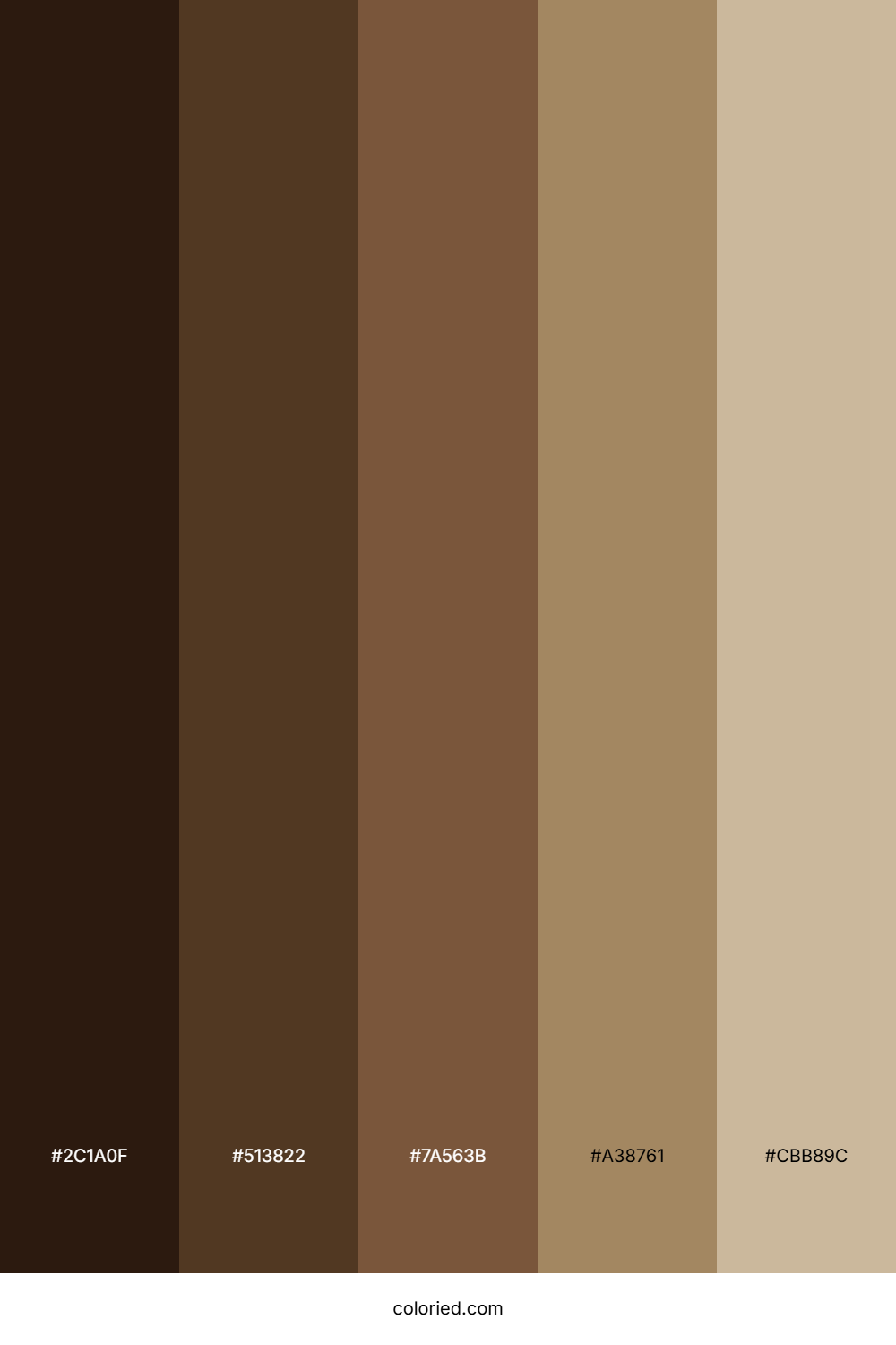 Dark Brown Hair Color Palette