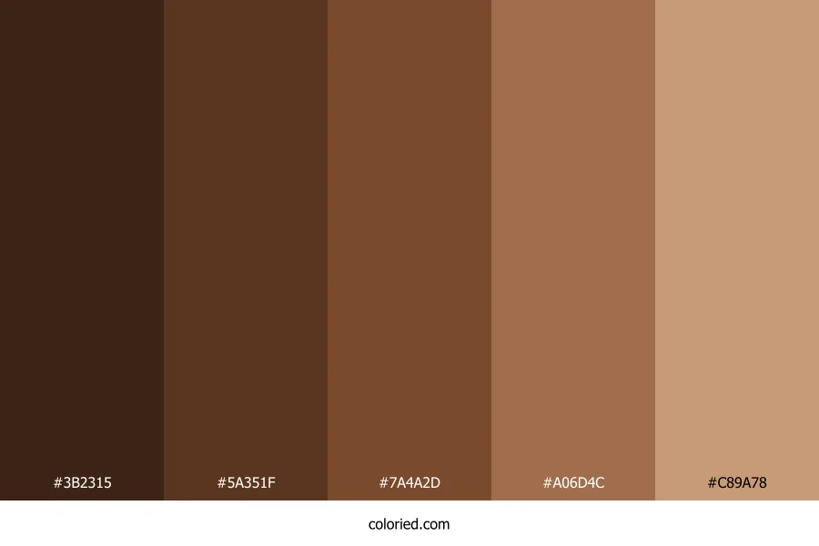 Dark Brown Human Skin Color Palette