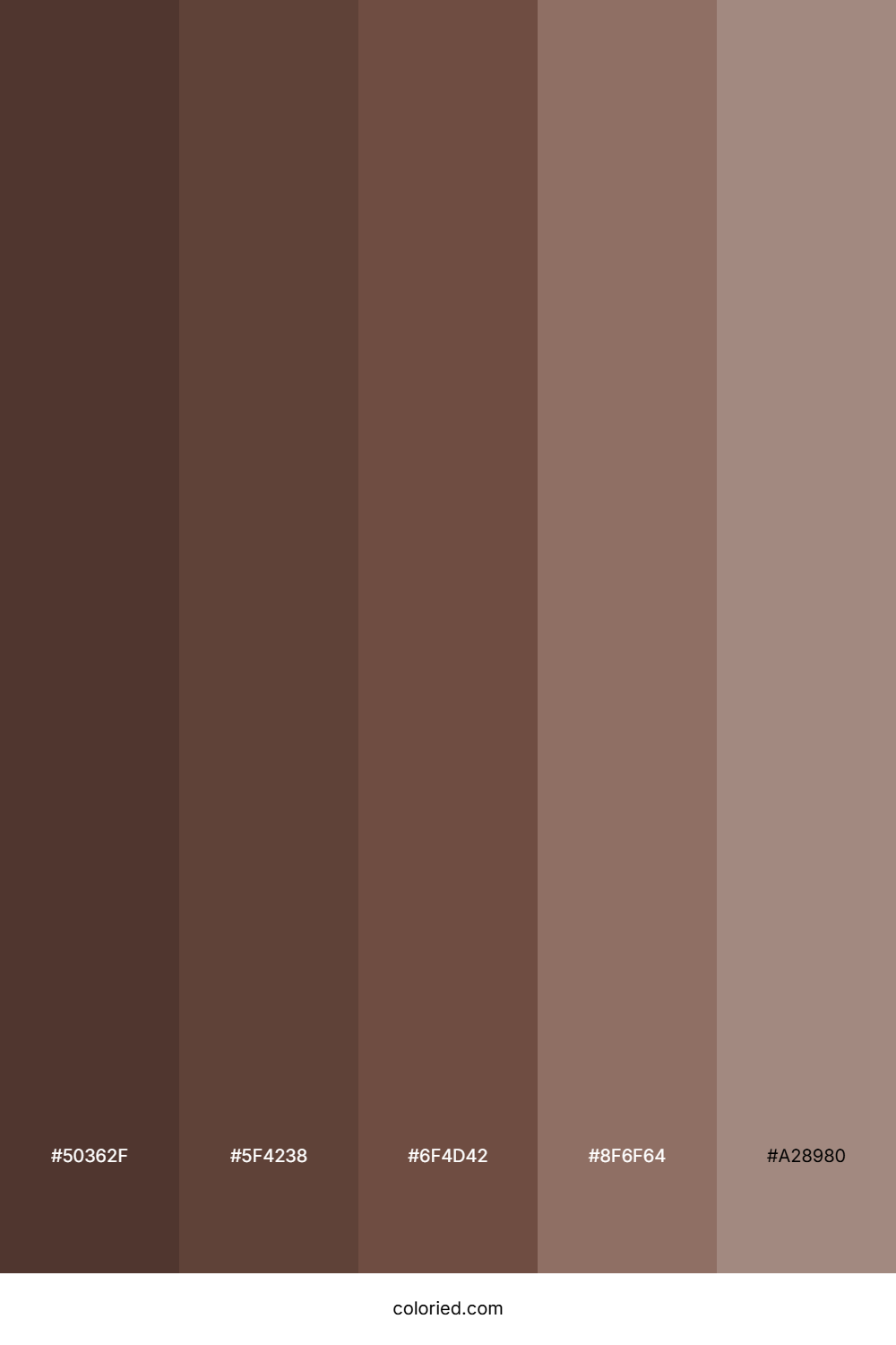 Dark Brown to Orange Color Palette