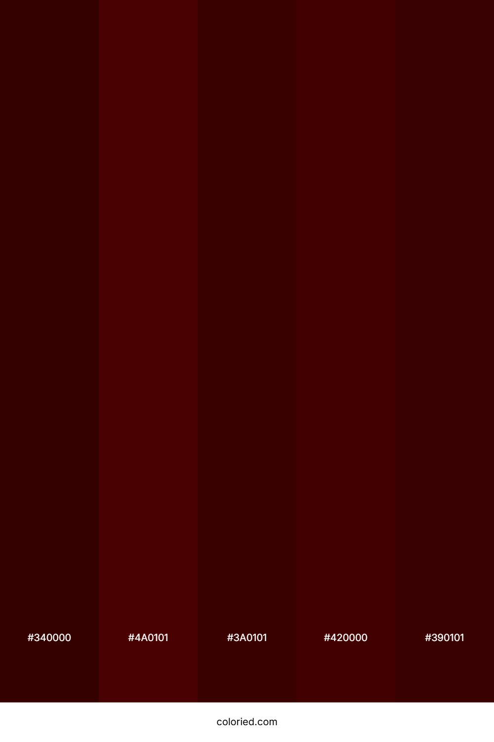 Dark Burgundy and Crimson Color Palette