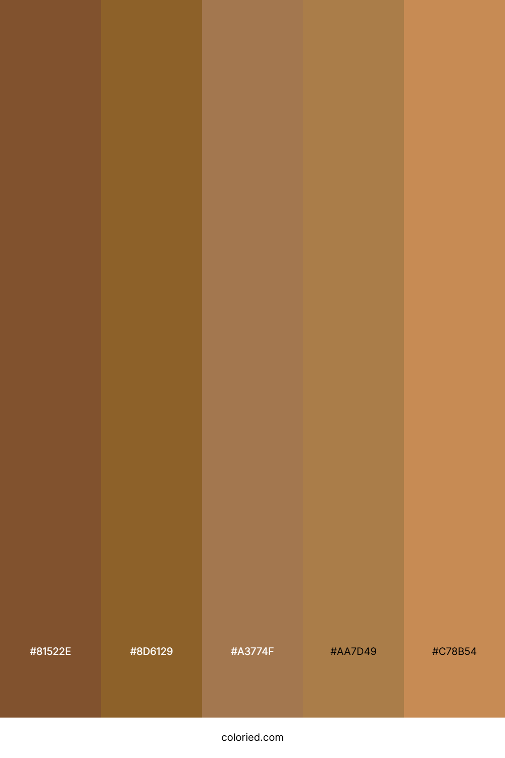 Dark Caramel and Bronze Color Palette