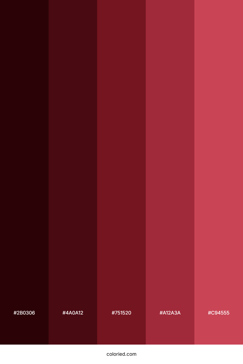 Dark Cherry Color Palette