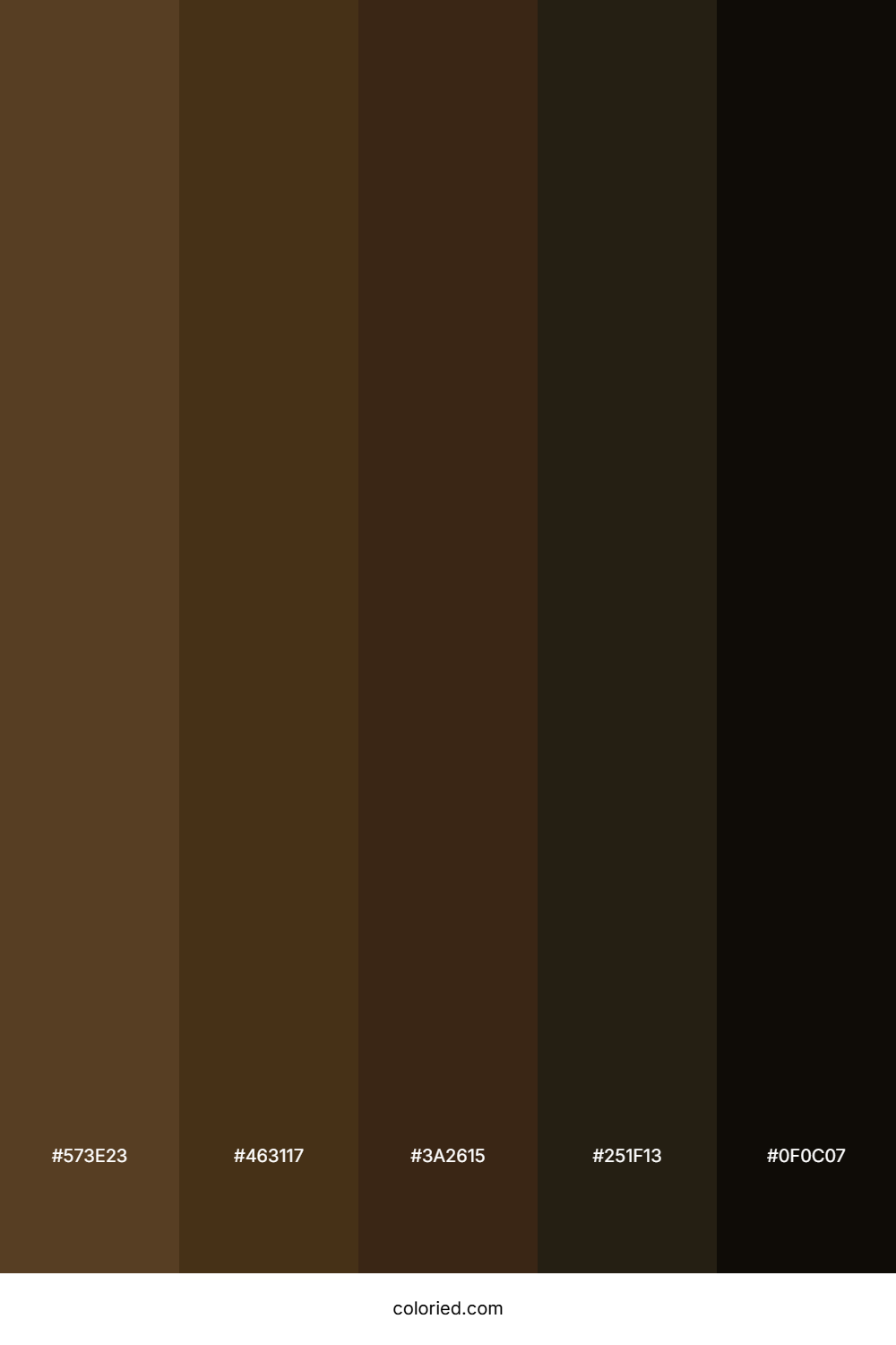 Dark Chocolate and Espresso Color Palette